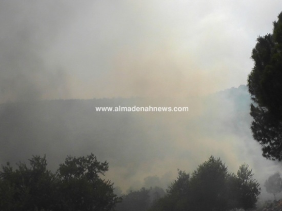 حريق يلتهم 300 دونم في اربد